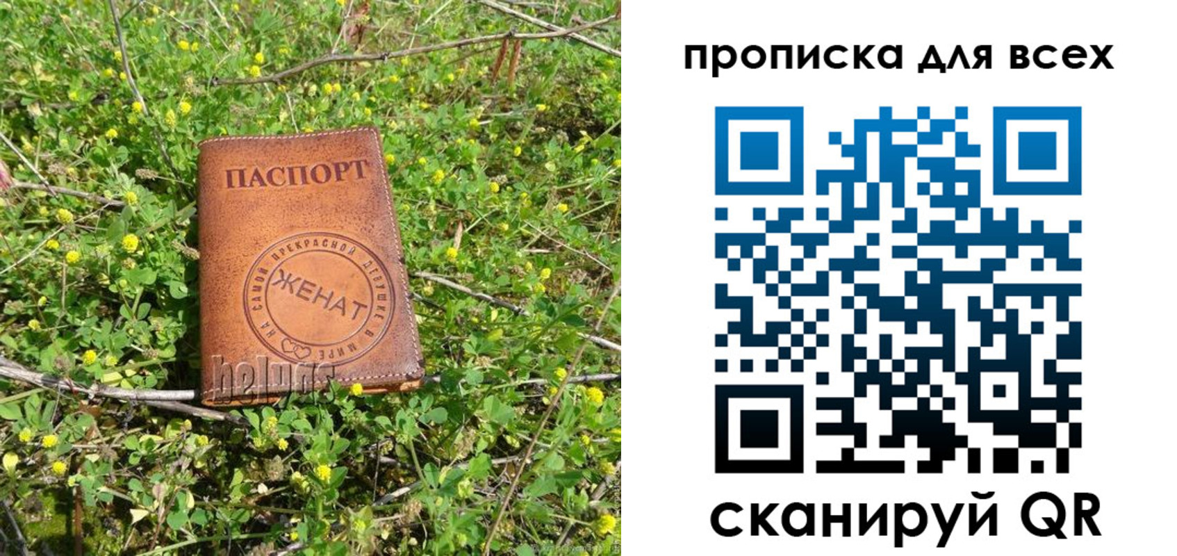 прописка поиск в Тихвине